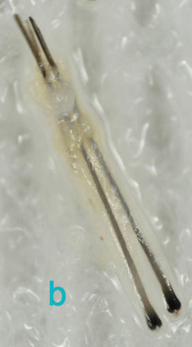 b.02